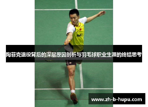 陶菲克退役背后的深层原因剖析与羽毛球职业生涯的终结思考