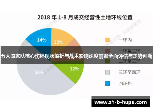 五大国家队核心伤停现状解析与战术影响深度前瞻全面评估与走势判断